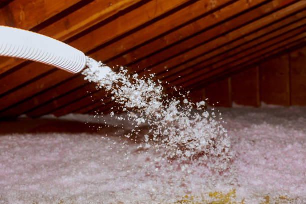 Best Home Insulation Services  in Hartland, WI